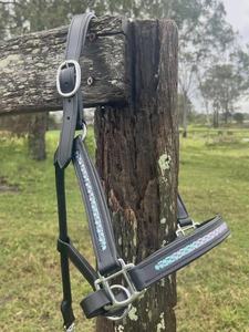 Licol de qualité supérieure pour l'équitation anglaise de style western, en cuir véritable, accessoire de selle, modèle AL RAHEEM INTERNATIONAL - Product Image 2