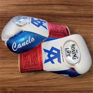 Guantes de Sanda No Boxing No Life - Guantes de Entrenamiento Personalizados de Piel de Vacuno Auténtica con Agarre Ergonómico - Product Image 2