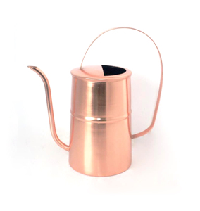 Arrosoir en fer avec long bec pour accessoires de jardinage décoratifs - Product Image 1