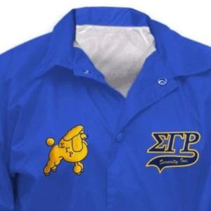 Veste Femme Sigma Gamma Rho à Lignes Croisées, Broderie Personnalisée, Vêtement d'extérieur de Sororité, Manteau Décontracté Style Universitaire, Vente en Gros - Product Image 2