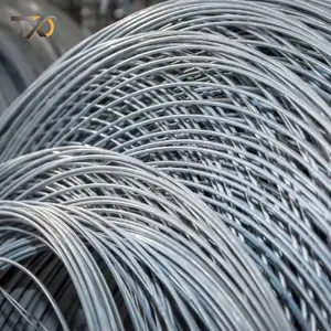 Factory Wholesale Hot DIP Electro Wire PVC Coated Q195 Q235 8g 14g 20g 5-50kgs/Roll Galvanized Steel Wire for Craft