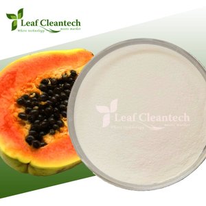 Enzima alimentaria de papaína Enzimas al por mayor para Alimentos y Nutrición-Fabricante con sede en Bangalore Karnataka, India - Product Image 1