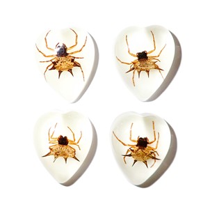 Spiny <b>Spider</b> Real Specimen <b>Plastic</b> Cabochon Heart 17x21 mm Glow Flat Bottom for Crafts and Jewelry Making - Product Image 4