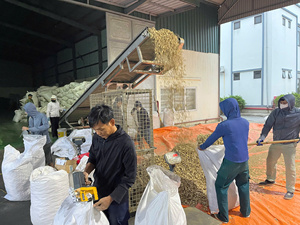 Latest Import Sales TINIMEX Brand Dried Slices Ginger/Jengibre/Zenzero-Vietnam Ginger 2 Year <b>Shelf</b> Life (WA +84362512699) - Product Image 5