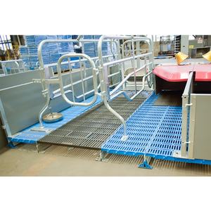 Cage de maternité en acier galvanisé pour élevage de porcs - Product Image 6