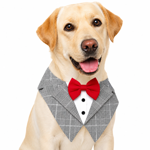 Bandana pour chien Aqua Blaze OEM ODM avec logo personnalisé, réglable, en polyester, moderne, pour anniversaire, Noël, fabricant direct - Product Image 1