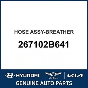 Nouveaux réservoirs de carburant et becs de remplissage Soul 267102B641 - Product Image 1