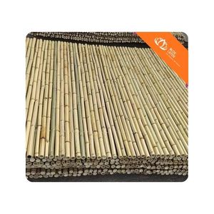 [BEST SELLING] BLUE LOTUS Modern <b>Dried</b> Bamboo Stake <b>Plant</b> Support Stick for Farm Crop Tomato Climbing Vine Structure Son La - Product Image 1
