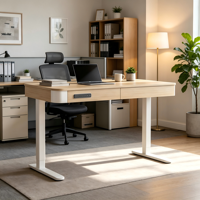 PRORIALS Bureau électrique ergonomique à moteur unique, 2 niveaux, avec grand tiroir invisible en métal, réglable en hauteur, pour le travail assis-debout, bureau et domicile