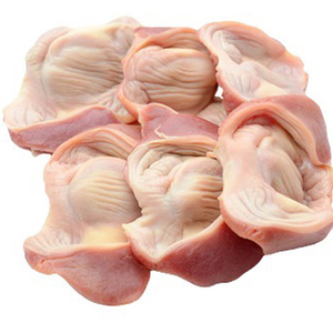 El mejor lugar para comprar tripas de pollo congeladas |   Gizzards de Pollo Congelados al por Mayor - Product Image 5