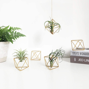 Soporte Colgante de Metal Hecho a Mano para Plantas Aéreas, Decoración Boho para Hogar y Jardín, Venta al Por Mayor - Product Image 5