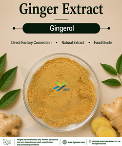 Suministro directo de fábrica HGO de extracto de jengibre natural puro (grado alimenticio) Especificación Gingerol 1% (extracto estandarizado) - Product Image 1