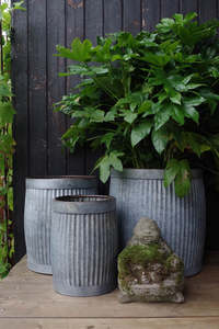 Juego de Macetas de Metal Galvanizado al por Mayor, Estilo Rústico para Exteriores, Macetas Decorativas para Jardín con Estatua de Buda Cubierta de Musgo - Product Image 2