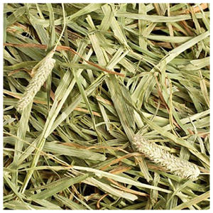 Heno de Timothy de Primera Calidad para Alimentación Animal, Alfalfa / Heno de Alfalfa - Product Image 4