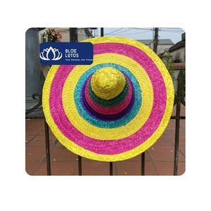 [BEST SELLING] | Lightweight Woven Straw Hat for Daily Outdoor Wear and <b>Beach</b> Activities Vietnam - Product Image 1
