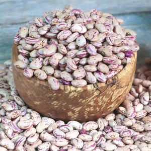 Haricots Sucrés de Haute Pureté à Faible Teneur en Impuretés Étrangères, Soigneusement Traité pour une Approvisionnement Fiable en Ingrédients en Vrac - Product Image 3