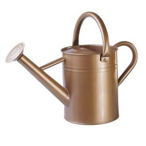 Arrosoir de jardinage, arrosoir pour jardin de terrasse, arrosoir pour jardin domestique, arrosoir pour potager, arrosoir pour plantes - Product Image 3