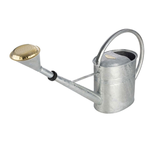 Arrosoir moderne en métal galvanisé poli argenté avec bec amovible et doubles poignées ergonomiques pour plantes de jardin extérieur - Product Image 2