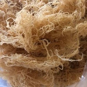 Vente chaude mousse de mer du Vietnam haute qualité Eucheuma Cottonii algues humidité 10% mousse de mer séchée pour la cuisson - Product Image 5