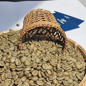 Grains de café vert ROBUSTA Premium, calibre 13-18, lavés et polis, sacs de 60 kg, prix compétitifs (Joice) - Product Image 1