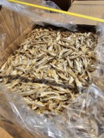 Anchois séchés en gros du Vietnam, sprats séchés de haute qualité / Mme Lima