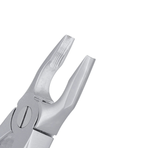 Pinzas de Extracción Atraumática para Incisivos Superiores Apicales, de Acero Inoxidable, Instrumento Quirúrgico Dental para Extracción de Dientes, Cirugía Oral - Product Image 4