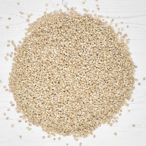 Orge de qualité supérieure pour l'alimentation animale – Graine sèche 100 % propre pour l'industrie agroalimentaire – Expédition en vrac – Exportation animale – Stock mondial - Product Image 4