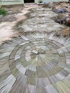 Sombrilla Plegable de Techo de Paja para Jardín/Patio de 2.6m, Fabricada en Vietnam, Venta al por Mayor para Exportación - Product Image 6