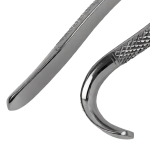 Forceps d'extraction manuels # Instrument d'extraction dentaire en acier inoxydable pour 103 incisives et cuspides inférieures – Outil chirurgical dentaire - Product Image 6