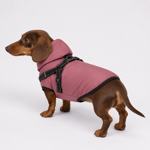Ropa Impermeable para Perros, Chalecos Reflectantes para Mascotas, Abrigos para Perros, Arnés para Perros, Venta al Por Mayor - Product Image 4