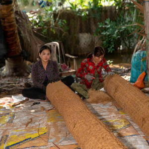 BEST SELLING Coir Fiber Log for Riverbank Protection Garden Landscaping and Plant Support Vietnam - Product Image 3
