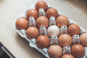 ไข่ไก่พันธุ์สำหรับฟาร์มเพาะพันธุ์ - Product Image 3
