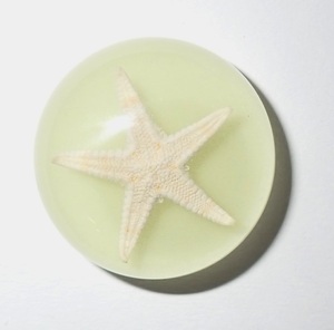 Cabochon Starfish Round 25x25 mm on Glow Flat Bottom for Crafts and Jewelry Making - Product Image 4