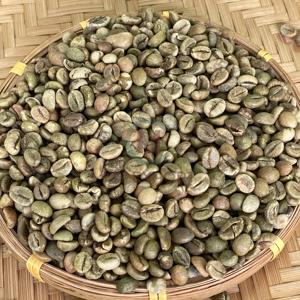 Granos de Café Verde Robusta Vietnamita Premium, Crudos, Sin Tostar, Grado de Exportación 1, Naturales, Limpios, en Bolsa de Yute, Venta al Por Mayor - Product Image 4