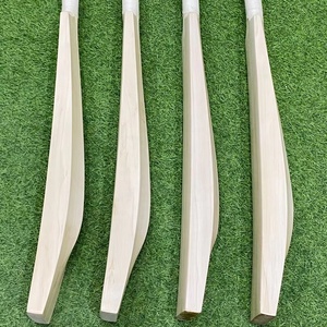 Bate de críquet de sauce inglés Duckbill con mango corto - Product Image 1