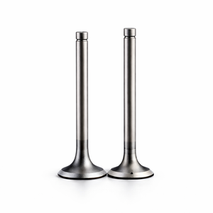 Juego de Válvulas de Motor para Motocicleta KTM Duke 200 / 390 |   Kit de Válvulas de Admisión y Escape |   Repuesto de Calidad OEM - Product Image 1