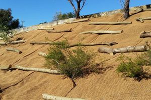 Wholesale Natural Coir Fiber Mesh Coconut Net for Riverbank Protection Hillside Reinforcement Revegetation and Soil <b>Conservation</b> - Product Image 6