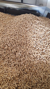 Granulés de bois de pin haute densité pour systèmes de chauffage, chaudières industrielles et production d'énergies renouvelables - Product Image 6