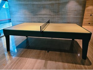 Mesa de Tenis de Mesa Negroni Tt ARGMAC, Moderna, con Marco Personalizado, Ecológica y Resistente, con Red para Competencia en Interiores - Product Image 3