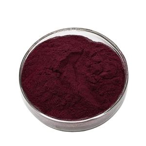 Заводская поставка натуральный антоциановый порошок высокого качества натуральный экстракт черники - Product Image 1