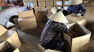 New Crop 2025 Cinnamon Cassia 8cm de longitud Calidad de Grado Superior Dulce picante o decoración WS + 84 865216698 - Product Image 6