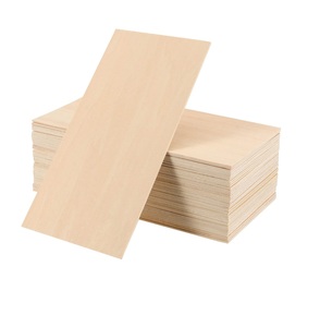 Este panel de madera contrachapada natural de alta calidad presenta un acabado de madera clara y lisa y una construcción duradera en capas. - Product Image 1