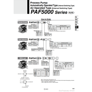 PAF5410-P19-N แบบจำลองปั๊มกระบวนการอุตสาหกรรมนิวเมติก SMC - Product Image 2
