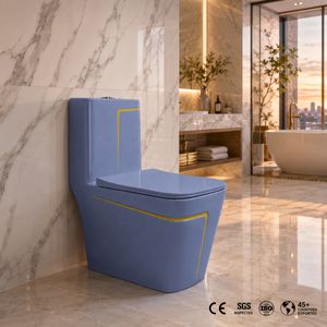 WC monobloc moderne en céramique, cuvette carrée, design bleu ciel, style contemporain, à poser au sol, chasse d'eau à débit lent - Product Image 6