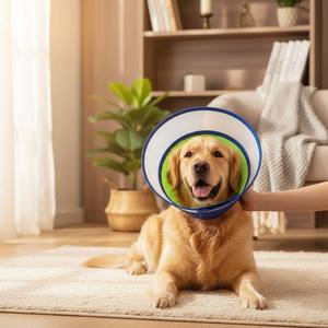 Collier de récupération souple pour chien - Collier éлизабетанский respirant pour protection post-opératoire anti-léchage, aide confortable pour le toilettage des animaux - Product Image 3