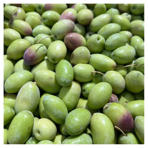Aceitunas Verdes Frescas al por Mayor con Calidad Superior para Restaurantes, Hoteles, Servicios de Catering y Cadenas de Comercio Minorista - Product Image 4