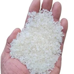 0.69 $/kg CALROSE SUSHI vente en gros au détail Vietnam riz au jasmin prix bon marché premium dans le delta du Mékong échantillon gratuit Mr.Tony + 84938726924