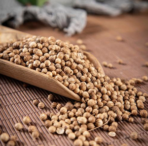 Meilleures graines de coriandre de qualité supérieure en gros, prêtes à être expédiées, qualité alimentaire, pour l'exportation - Product Image 3