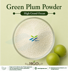 Suministro Directo de Fábrica HGO de Polvo de Ciruela Verde (Grado Alimenticio), Polvo de Fruta Secado por Aspersión o Liofilizado - Product Image 1