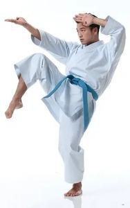 Uniforme de Karate Profesional de Nuevo Diseño para Artes Marciales, Venta al por Mayor - Product Image 4